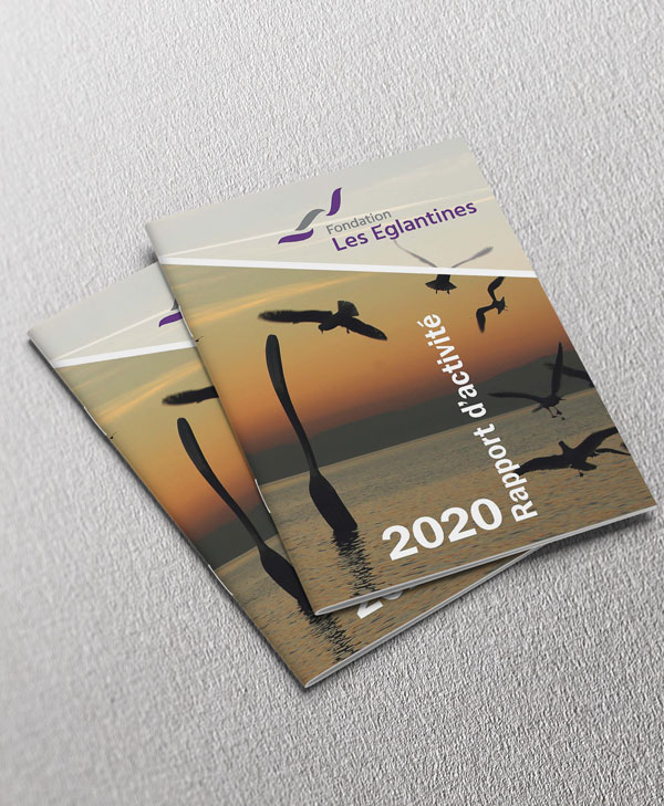 Fondatioon Les Eglantines - Rapport activité 2020