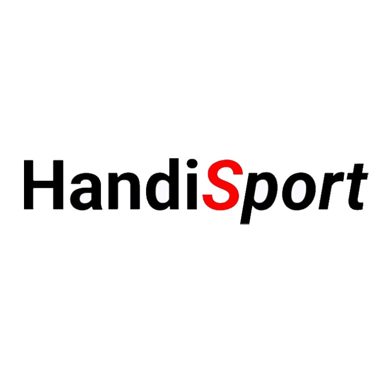 Handisport