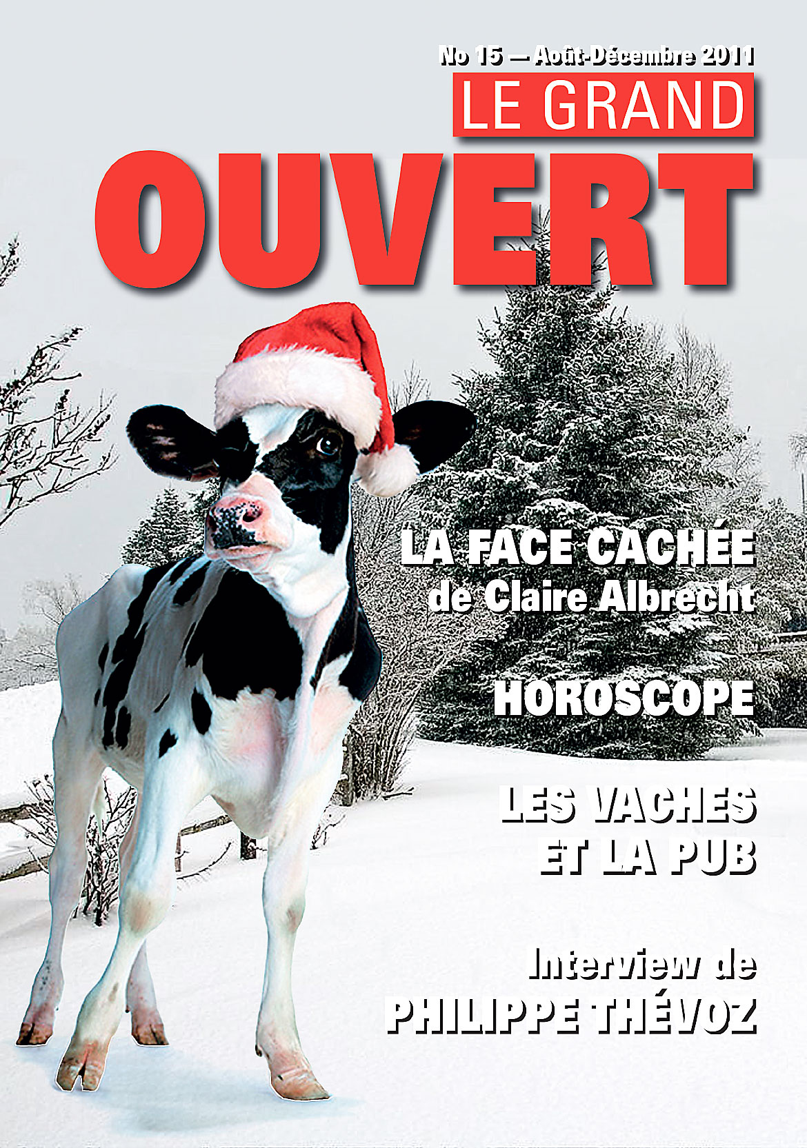 Fondation les Eglantines - Couverture du Journal Grand Ouvert N° 15