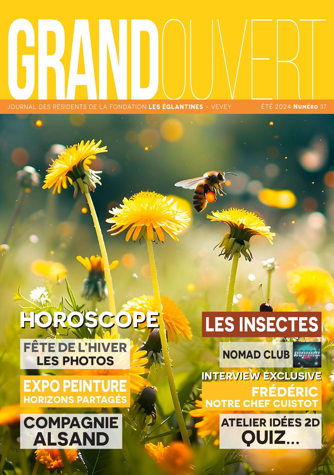 Fondation les Eglantines - Couverture du Journal Grand Ouvert N° 35